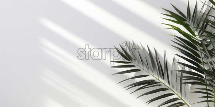 The shadow of a palm leaf on a white background - Starpik Stock