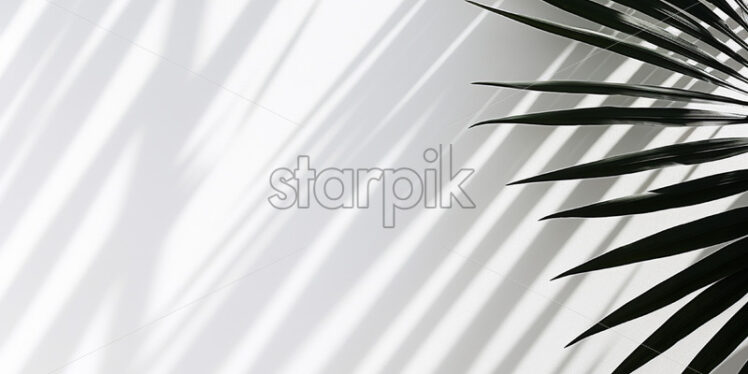 The shadow of a palm leaf on a white background - Starpik Stock