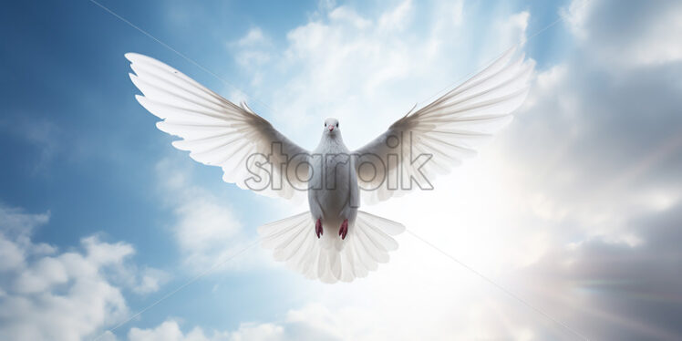 The white dove, the symbol of peace - Starpik Stock