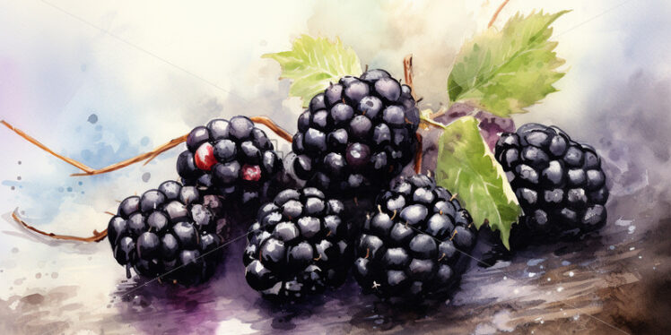 Watercolor painting of blackberries - Starpik Stock