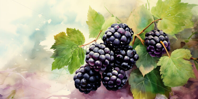 Watercolor painting of blackberries - Starpik Stock