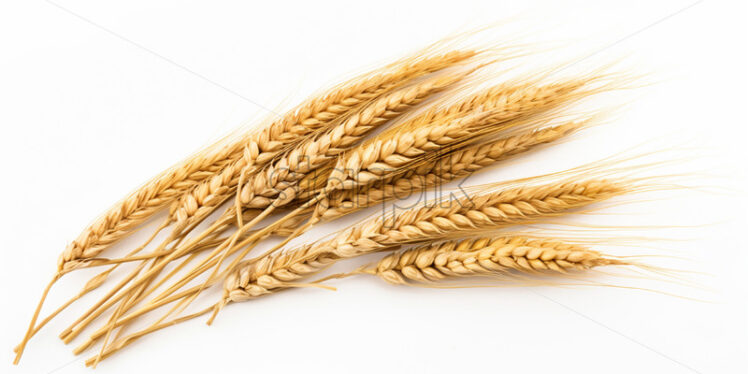 Wheat on a white background - Starpik Stock