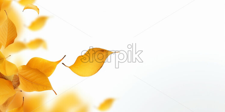 Yellow autumn leaves on a white background - Starpik Stock