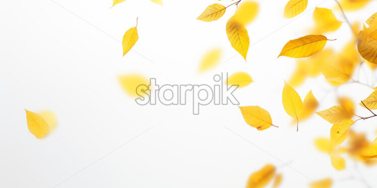 Yellow autumn leaves on a white background - Starpik Stock