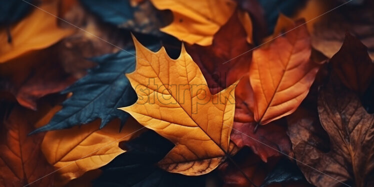 Yellow leaves on the ground, top view - Starpik Stock