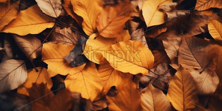 Yellow leaves on the ground, top view - Starpik Stock