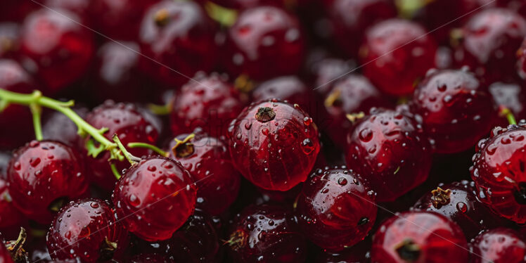 A background with delicious currants - Starpik Stock