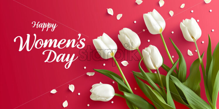 A bouquet of white tulips on a red background for International Women's Day - Starpik Stock