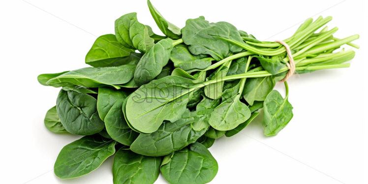 A bunch of spinach on a white background - Starpik Stock