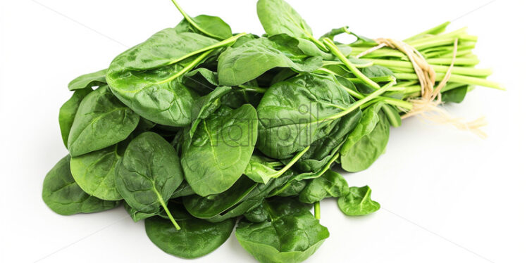 A bunch of spinach on a white background - Starpik Stock