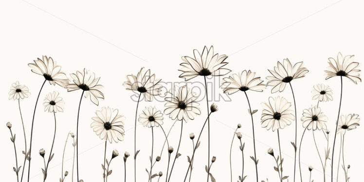 A line drawing of daisies - Starpik Stock