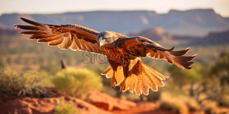 A majestic Harris's hawk soaring above the arid desert landscape - Starpik Stock