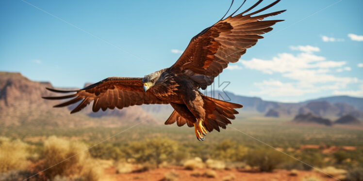 A majestic Harris's hawk soaring above the arid desert landscape - Starpik Stock