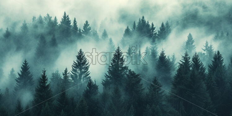 A mysterious forest of fir trees in the fog - Starpik Stock