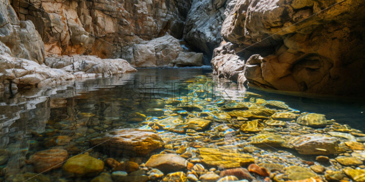 A natural rock pool with small, colorful fish darting between the rocks - Starpik Stock