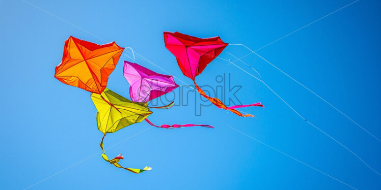 A series of colorful kites soaring high in the clear, blue sky - Starpik Stock