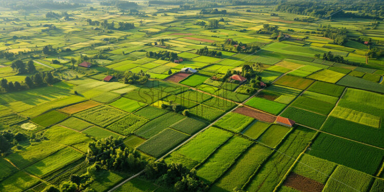 A top view of a landscape with a house and farmland - Starpik Stock