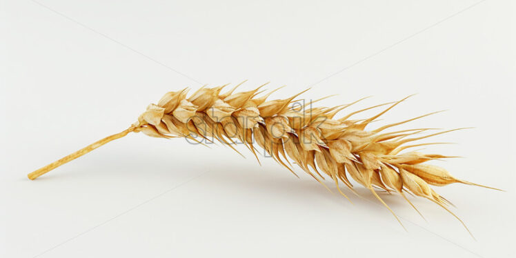 An ear of wheat on a white background - Starpik Stock