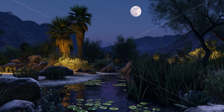 An oasis in the desert at night - Starpik Stock