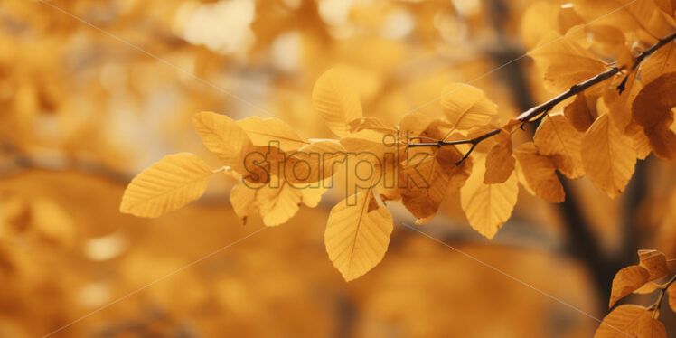 Autumn leaves in the park, background - Starpik Stock