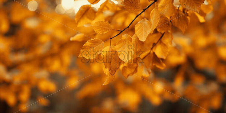 Autumn leaves in the park, background - Starpik Stock