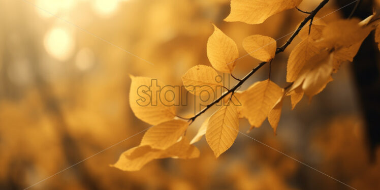 Autumn leaves in the park, background - Starpik Stock