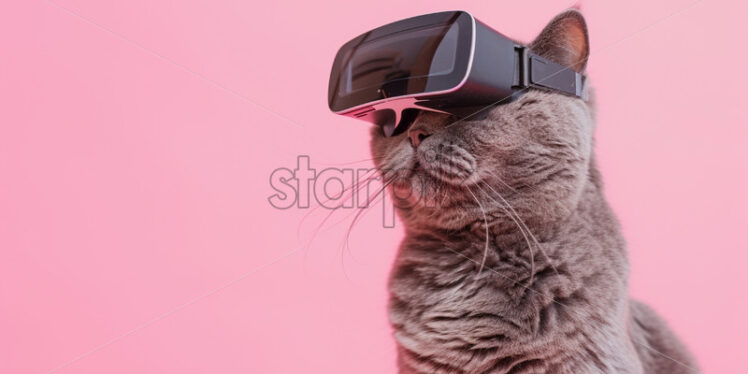 Cute British cat wearing VR glasses, on pink isolate background - Starpik Stock