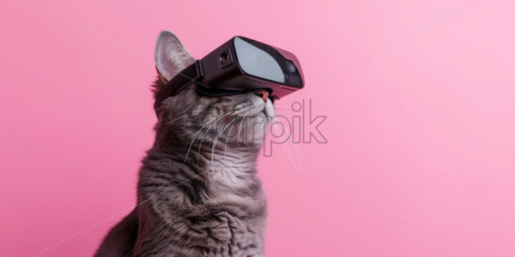 Cute British cat wearing VR glasses, on pink isolate background - Starpik Stock