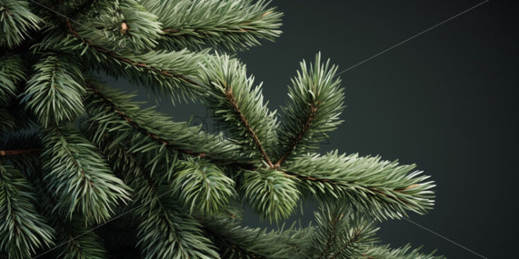 Detailed pine branch with green background. - Starpik Stock