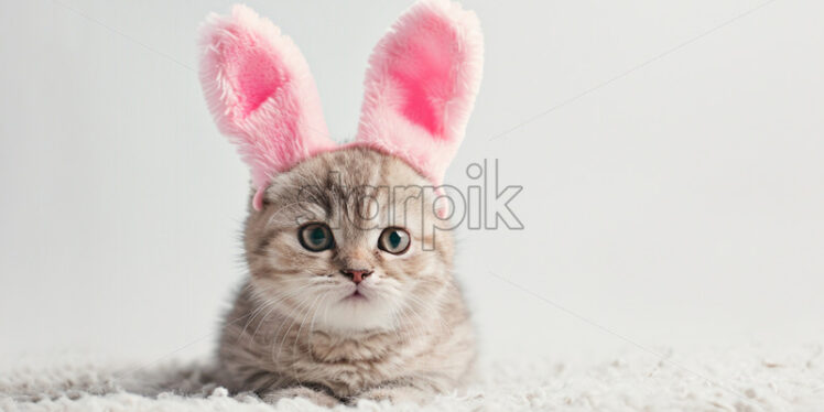  Easter postcard with cute british cat wearing oversized bunny ears - Starpik Stock