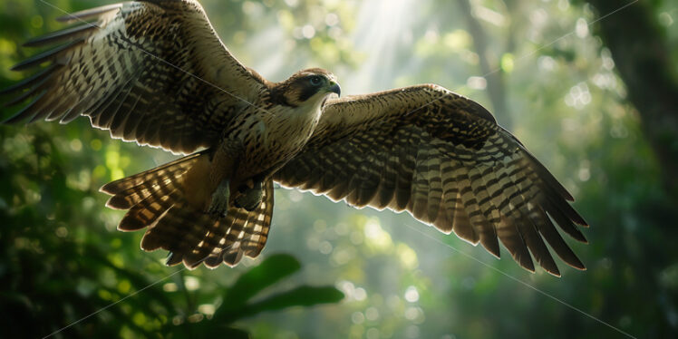 Graceful and majestic falcon soaring high above the jungle canopy - Starpik Stock