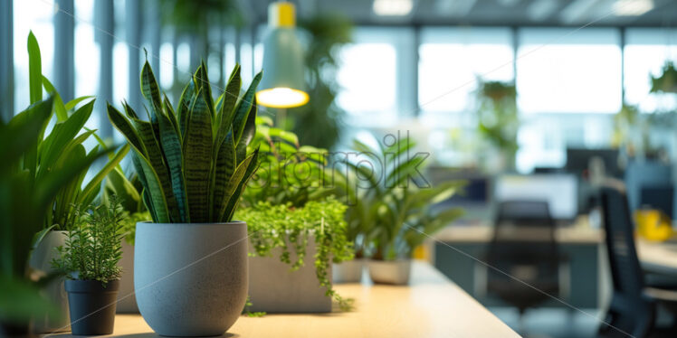 Office plants and decorations adding a touch of greenery to workspaces - Starpik Stock