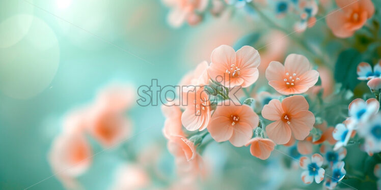 Peach flowers on blue background mysterious magical spring card - Starpik Stock