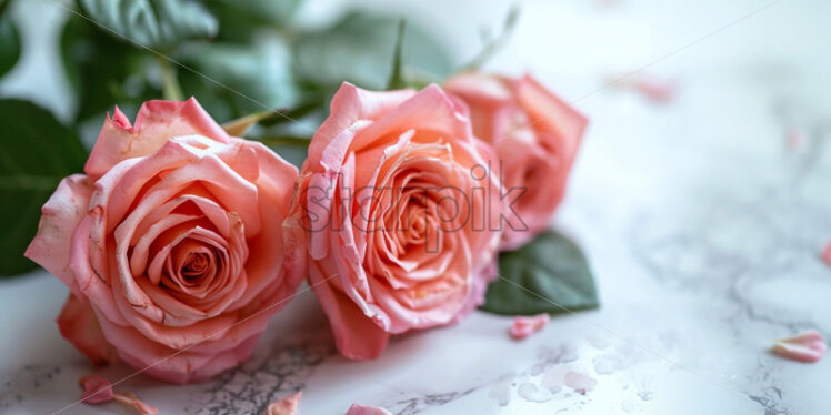 Pink roses flowers on top marble table - Starpik Stock