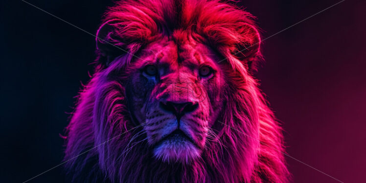 Portrait of a lion on a black background with neon lights - Starpik Stock