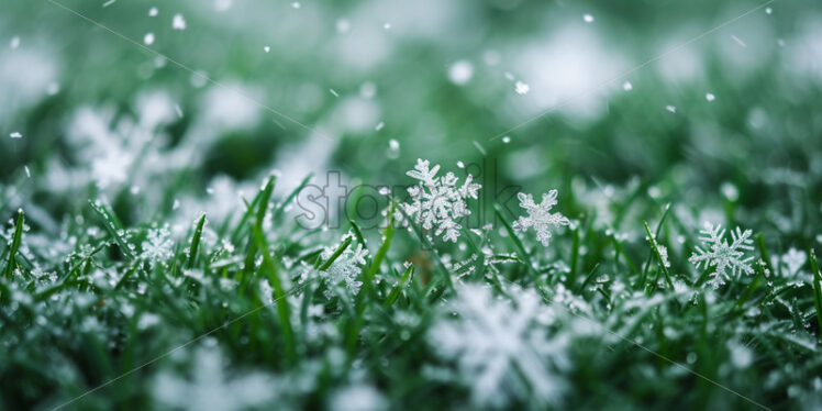 Snowflakes on green grass - Starpik Stock