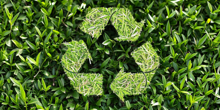 The recycling symbol created from grass on a green background - Starpik Stock