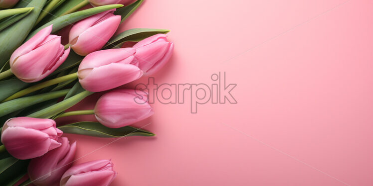 Top view pink tulips on isolated white background. Mother's day concept - Starpik Stock