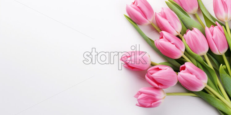 Top view pink tulips on isolated white background. Mother's day concept - Starpik Stock