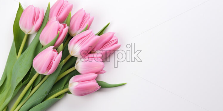 Top view pink tulips on isolated white background. Mother's day concept - Starpik Stock