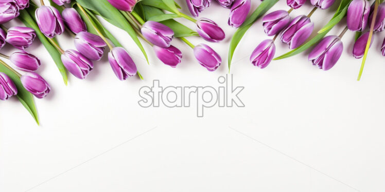 Top view tulips on isolated white background - Starpik Stock