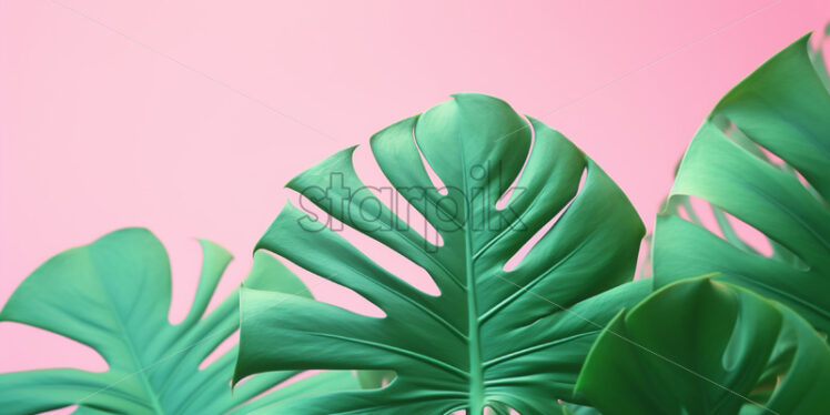 Tropical leaves on a pink background - Starpik Stock