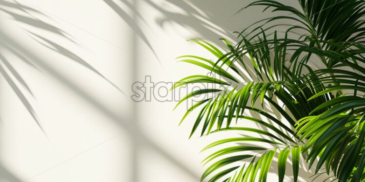 Tropical palm leaves shadow on white background  - Starpik Stock