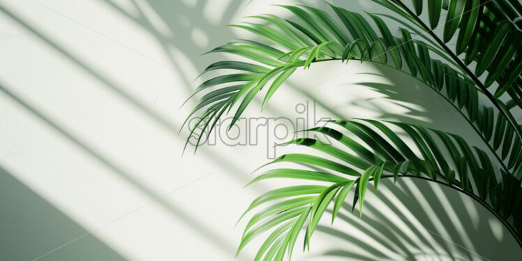 Tropical palm leaves shadow on white background  - Starpik Stock