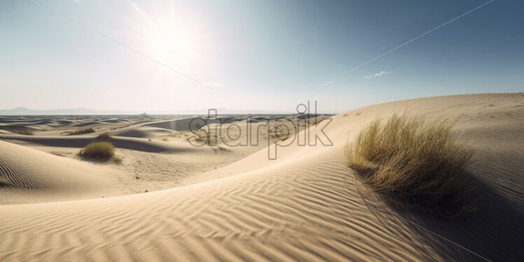 Vast sand dunes stretching to the horizon under the scorching sun - Starpik Stock