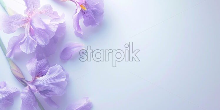 White blank surface, neon iris flowers - Starpik Stock