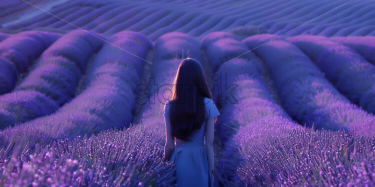 A girl in a lavender field - Starpik Stock