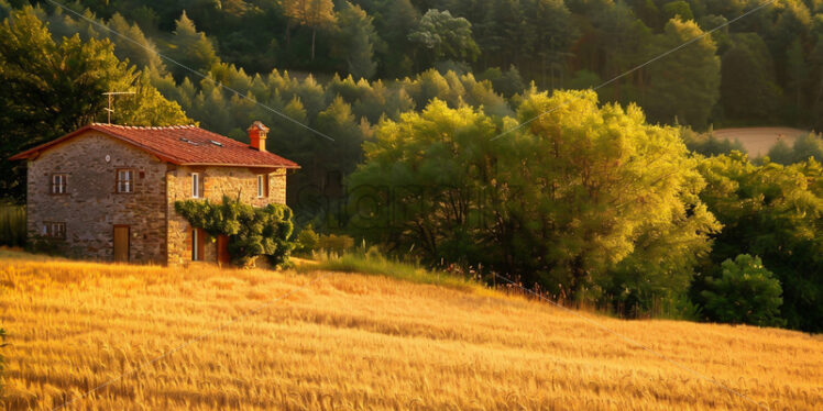 A stone house in a field of wheat - Starpik Stock