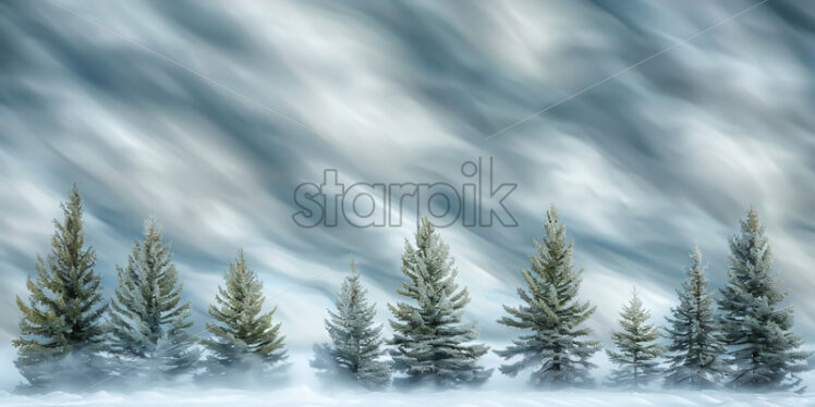 Fir trees in the forest blown by the wind - Starpik Stock