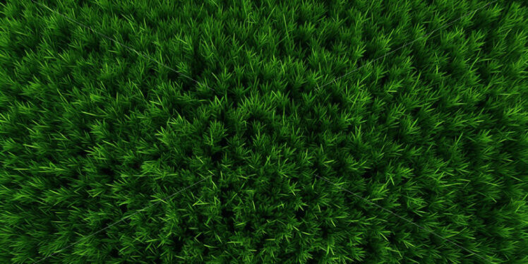 Green fresh grass background - Starpik Stock